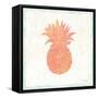 Flamingo Tropicale X Pink and Orange-Sue Schlabach-Framed Stretched Canvas