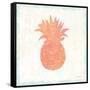 Flamingo Tropicale X Pink and Orange-Sue Schlabach-Framed Stretched Canvas