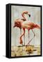Flamingo V-Sydney Edmunds-Framed Stretched Canvas
