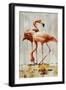 Flamingo V-Sydney Edmunds-Framed Giclee Print