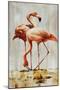 Flamingo V-Sydney Edmunds-Mounted Giclee Print