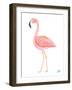 Flamingo Walk III-Julie DeRice-Framed Art Print