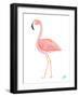 Flamingo Walk III-Julie DeRice-Framed Art Print