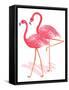 Flamingo Walk Watercolor II-Andi Metz-Framed Stretched Canvas