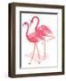 Flamingo Walk Watercolor II-Andi Metz-Framed Art Print