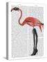 Flamingo with Kinky Boots-Fab Funky-Stretched Canvas