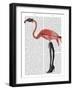 Flamingo with Kinky Boots-Fab Funky-Framed Art Print