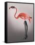 Flamingo with Kinky Boots-Fab Funky-Framed Stretched Canvas