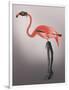 Flamingo with Kinky Boots-Fab Funky-Framed Art Print