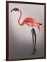Flamingo with Kinky Boots-Fab Funky-Framed Art Print