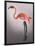 Flamingo with Kinky Boots-Fab Funky-Framed Art Print