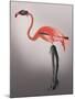 Flamingo with Kinky Boots-Fab Funky-Mounted Art Print