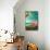 Flamingo-Chris Vest-Mounted Art Print displayed on a wall