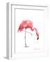 Flamingo-Suren Nersisyan-Framed Art Print