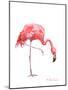 Flamingo-Suren Nersisyan-Mounted Art Print