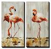 Flamingo-Sydney Edmunds-Stretched Canvas