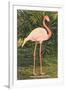 Flamingo-null-Framed Art Print