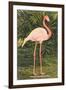 Flamingo-null-Framed Art Print