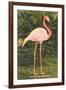 Flamingo-null-Framed Art Print