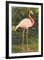 Flamingo-null-Framed Art Print