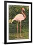 Flamingo-null-Framed Art Print