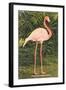 Flamingo-null-Framed Art Print