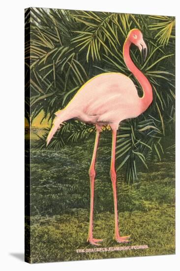 Flamingo-null-Stretched Canvas