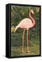 Flamingo-null-Framed Stretched Canvas