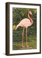 Flamingo-null-Framed Art Print