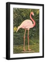 Flamingo-null-Framed Art Print