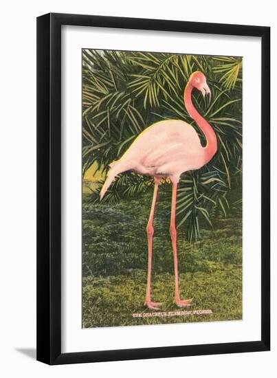 Flamingo-null-Framed Art Print