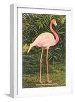 Flamingo-null-Framed Art Print