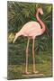 Flamingo-null-Mounted Art Print