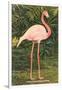 Flamingo-null-Framed Art Print