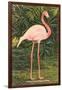 Flamingo-null-Framed Art Print