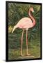 Flamingo-null-Framed Art Print