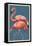 Flamingo-Lantern Press-Framed Stretched Canvas