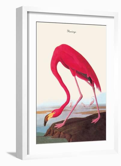 Flamingo-John James Audubon-Framed Art Print