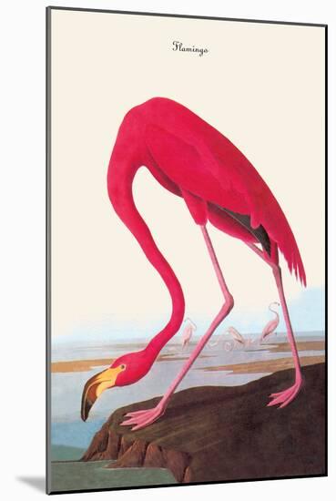 Flamingo-John James Audubon-Mounted Art Print