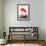 Flamingo-John James Audubon-Framed Art Print displayed on a wall