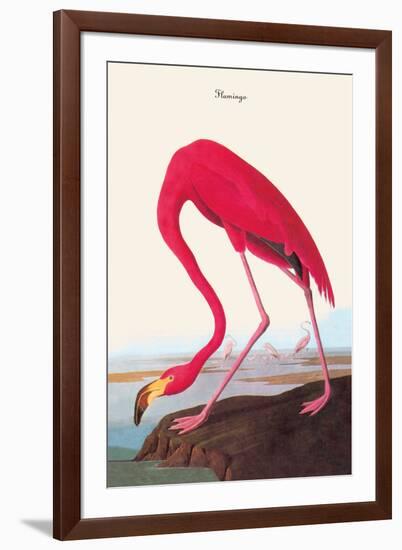 Flamingo-John James Audubon-Framed Art Print