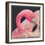 Flamingo-Kirstie Adamson-Framed Giclee Print