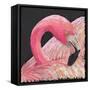 Flamingo-Kirstie Adamson-Framed Stretched Canvas