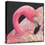 Flamingo-Kirstie Adamson-Stretched Canvas