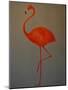 Flamingo-Lincoln Seligman-Mounted Giclee Print