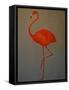 Flamingo-Lincoln Seligman-Framed Stretched Canvas
