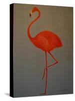 Flamingo-Lincoln Seligman-Stretched Canvas