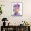 Flamingo-Stephanie Analah-Mounted Premium Giclee Print displayed on a wall