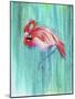 Flamingo-Michelle Faber-Mounted Giclee Print