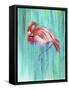 Flamingo-Michelle Faber-Framed Stretched Canvas